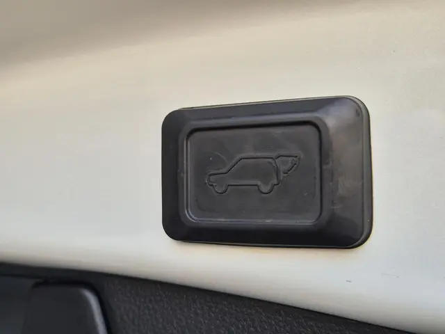 Toyota RAV4 2.5 Hybrid AWD Bi-Tone 2020 Hybride Benzine 28