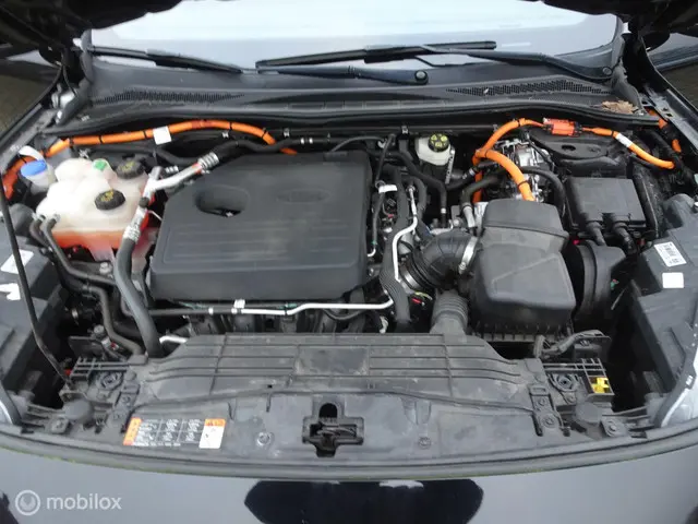 Ford Kuga 2.5 PHEV ST-Line X 2020 Hybride Benzine 22