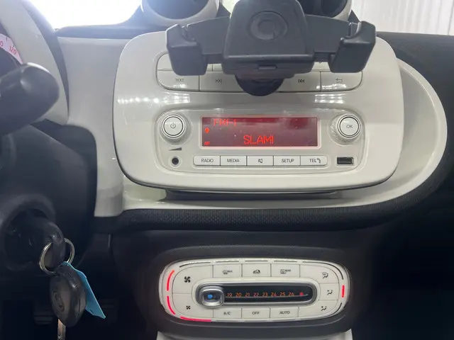 Smart Forfour zeer netjes 1.0 Joy Edition 2015 Benzine 14