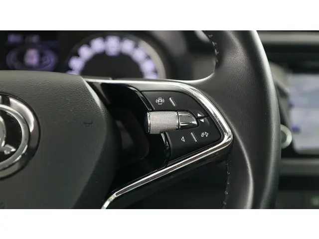 Škoda Fabia Combi 1.0 TSI 95pk Ambition 2022 Benzine 22