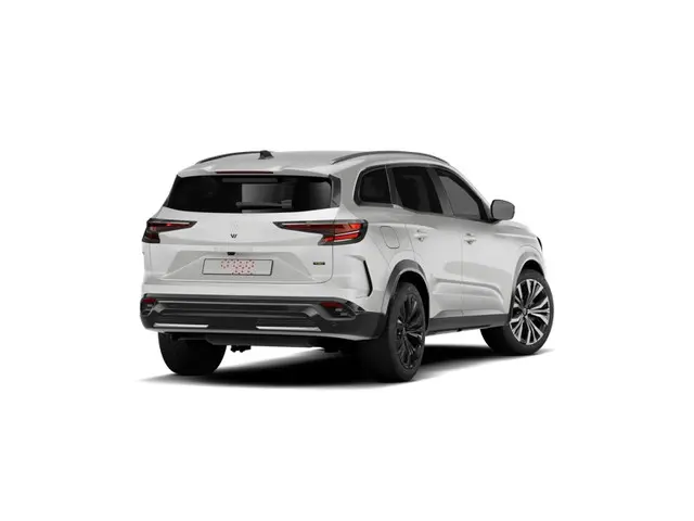 Renault Espace Iconic 2026 Hybride Benzine 6