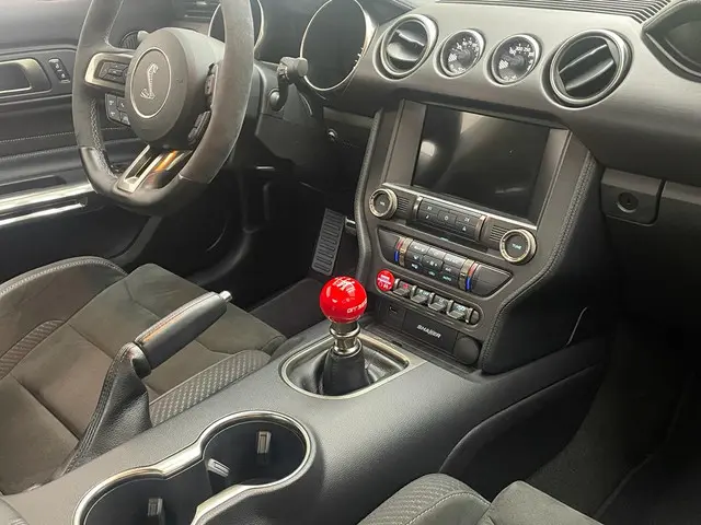 Ford Mustang Shelby GT350 EINDEJAARSACTIE 2017 Benzine 18