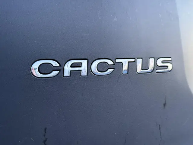 Citroën C4 Cactus 1.2 PureTech Business 2015 Benzine 33