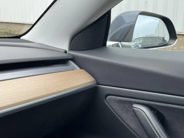 Tesla Model 3 Performance AWD 75 kWh 2019 Elektrisch 57