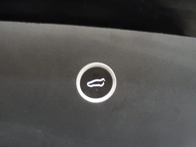 Tesla Model X 90D Base 2017 Elektrisch 35