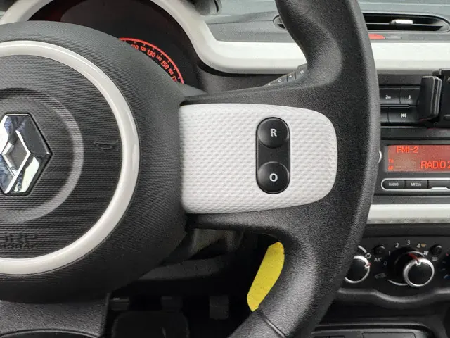 Renault Twingo 1.0 SCE COLLECTION 2021 Benzine 20