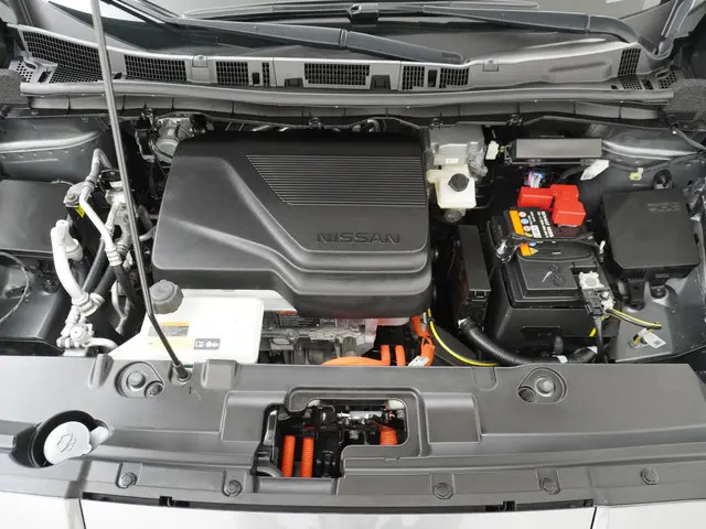 Nissan Leaf e+ Tekna 62 kWh 2022 Elektrisch 14