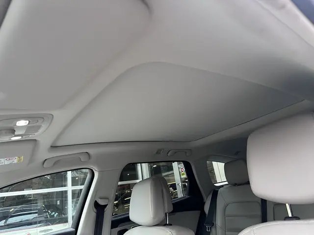 Renault Talisman Estate 1.6 TCe Limousin 2018 Benzine 31