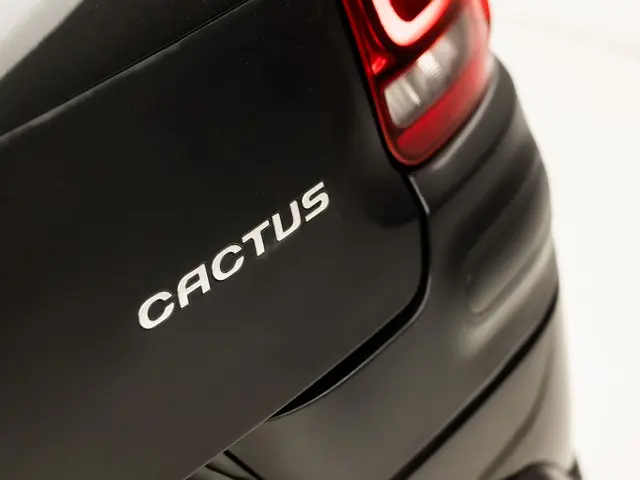 Citroën C4 Cactus 1.2 PureTech Shine 2016 Benzine 21
