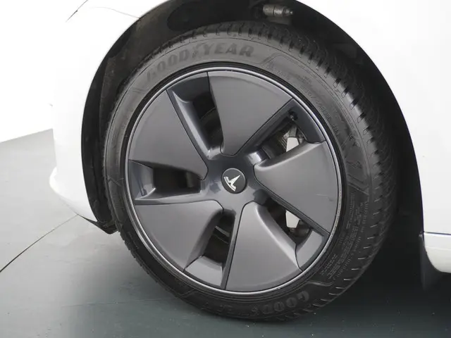 Tesla Model 3 Long Range RWD 75 kWh 2023 Elektrisch 14