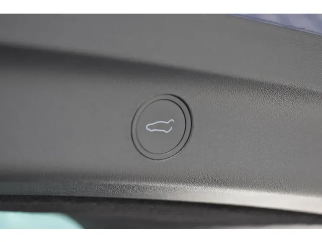 Tesla Model Y Long Range AWD 75 kWh 2021 Elektrisch 16