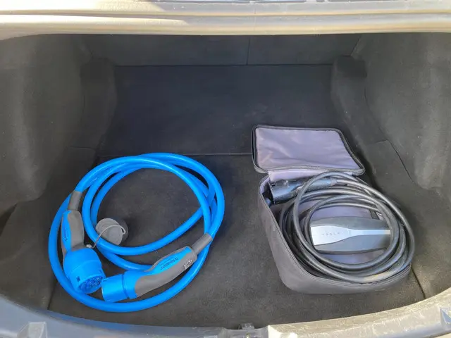 Tesla Model 3 Long Range AWD 75 kWh 2019 Elektrisch 9