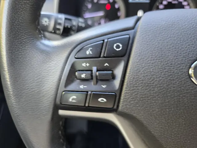 Hyundai Tucson FL 1.6 VERKOCHT 2019 Benzine 15