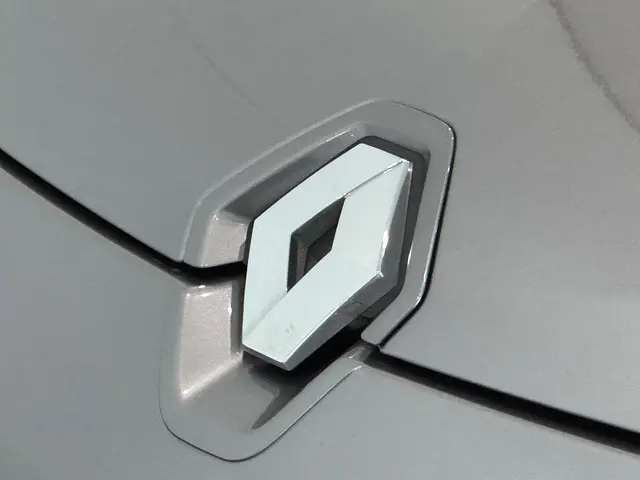 Renault Mégane Coupé 2.0 Turbo 250 RS 2012 Benzine 14