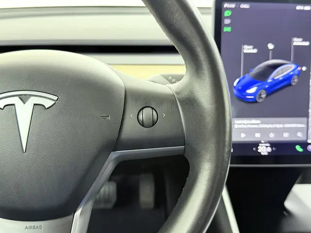Tesla Model 3 Long Range AWD 75 kWh 2019 Elektrisch 30