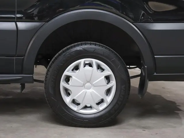 Ford Transit 290 2.0 TDCI L2H2 Trend 2024 Diesel 39