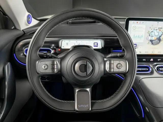 Smart #1 Premium 66 kWh 2026 Elektrisch 11