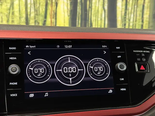 Volkswagen Polo 2.0 TSI GTI 2019 Benzine 13