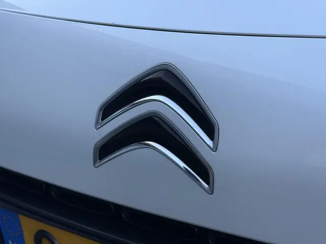 Citroën C4 Cactus 1.2 e-VTi Shine 2014 Benzine 31