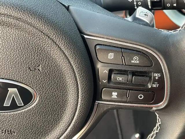 Kia e-Niro ExecutiveLine 64 kWh 2020 Elektrisch 13