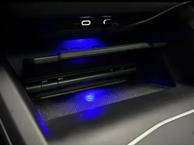 Volkswagen Golf 8 2.0 TSI R 4Motion 2021 Benzine 13