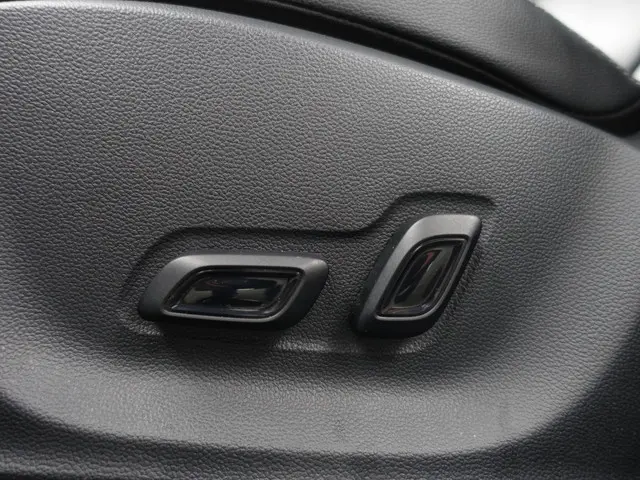 MG ZS-EV Luxury 45 kWh Aut- 2020 Elektrisch 17