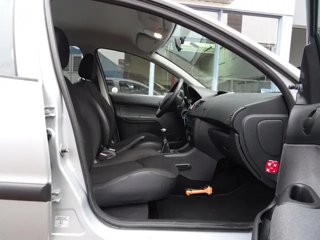 Peugeot 206 + 1.1 Access Lite 2012 Benzine 9