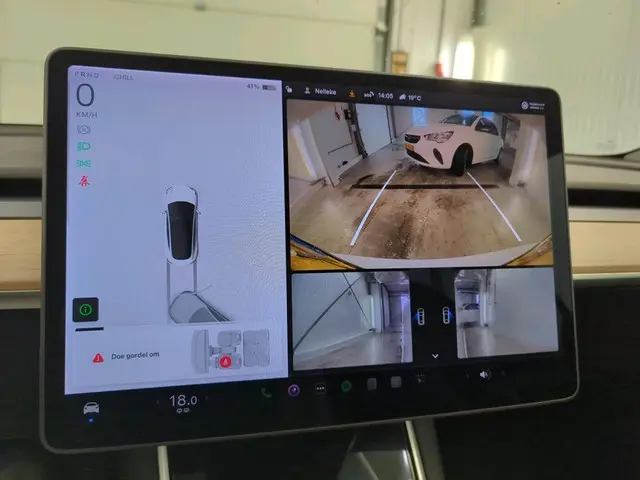 Tesla Model 3 Range Plus 2020 Elektrisch 14