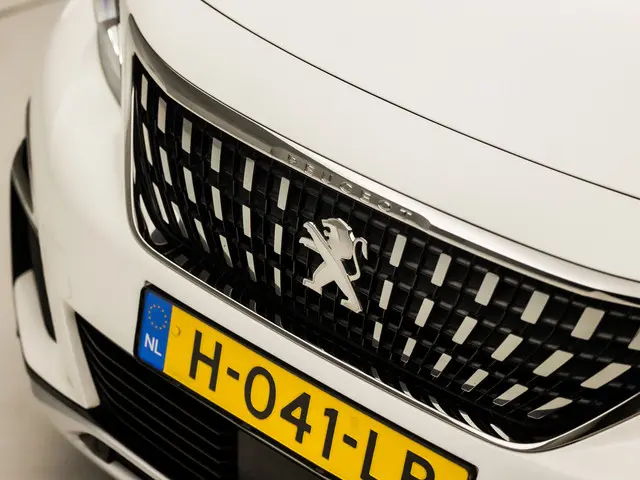 Peugeot 3008 1.2 PureTech Premium Sport 2020 Benzine 31