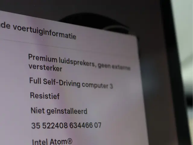 Tesla Model 3 Standard RWD Plus 60 kWh 2019 Elektrisch 42