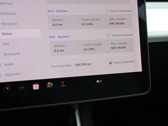 Tesla Model 3 Performance AWD 75 kWh 2019 Elektrisch 5