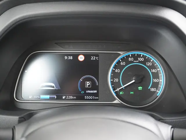 Nissan Leaf e+ Tekna 62 kWh 2022 Elektrisch 29