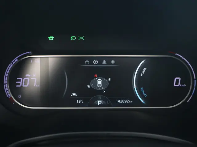 Kia e-Soul ExecutiveLine 64 kWh 2020 Elektrisch 21