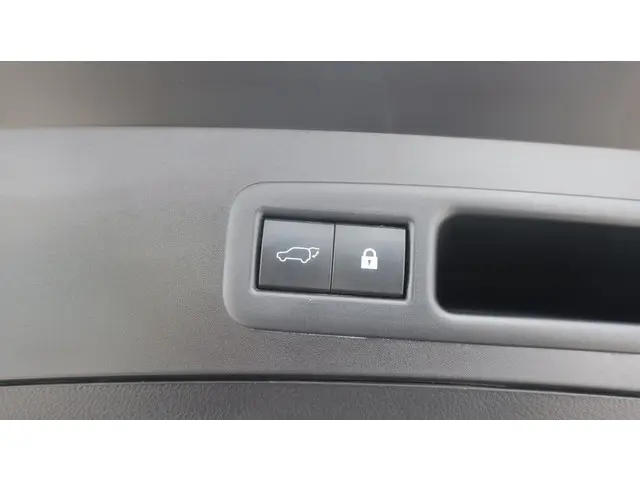 Lexus UX 250h Business Line 2019 Hybride Benzine 5