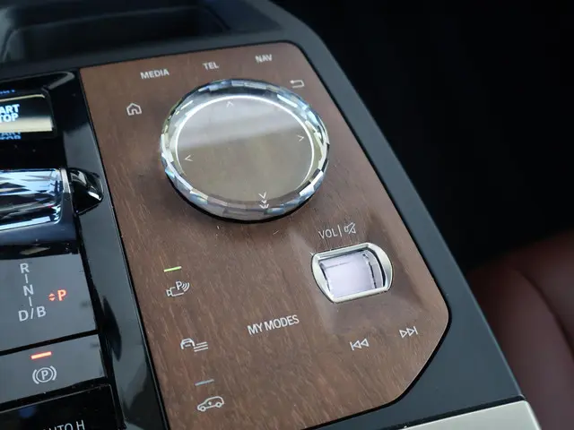 BMW iX xDrive50 High Executive 112 kWh 2022 Elektrisch 24