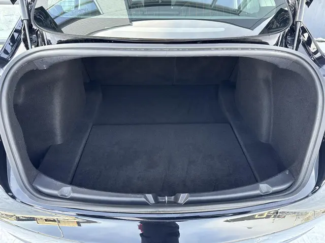 Tesla Model 3 Standard RWD Plus 60 kWh 2020 Elektrisch 25
