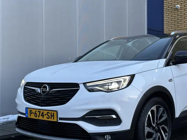 Opel Grandland X 1.6 Turbo Ultimate 2019 Benzine 66