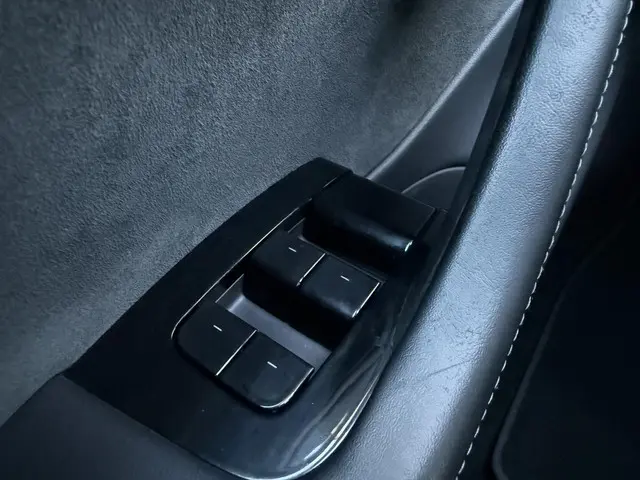 Tesla Model 3 Long Range AWD 75 kWh 2019 Elektrisch 9