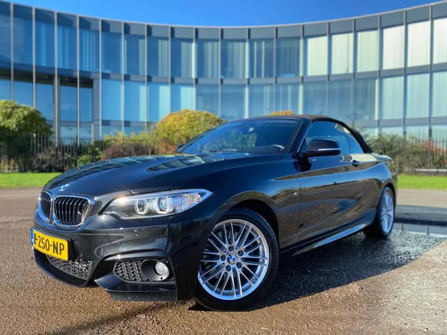 BMW 2 Serie Cabrio 220i M Sport 2016 Benzine 18