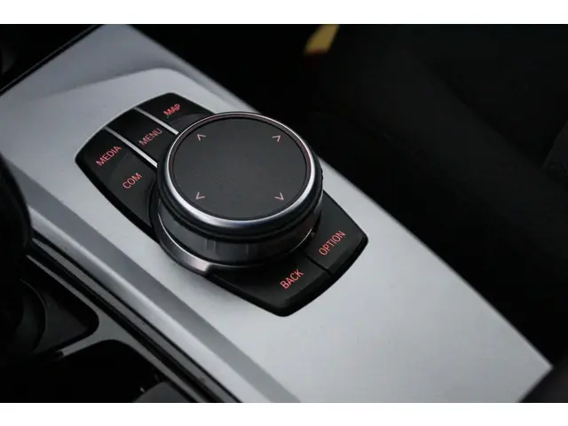 BMW X4 xDrive20i Executive Edition 2020 Benzine 29