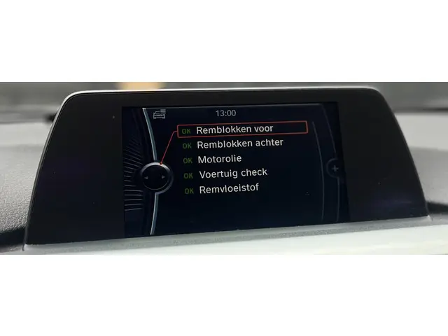 BMW 3 Serie 320i Business 2013 Benzine 14