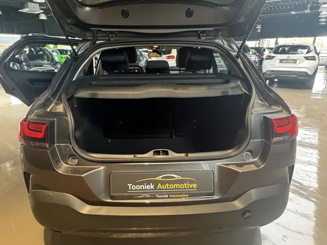 Citroën C4 Cactus 1.2 PureTech Business 2019 Benzine 13