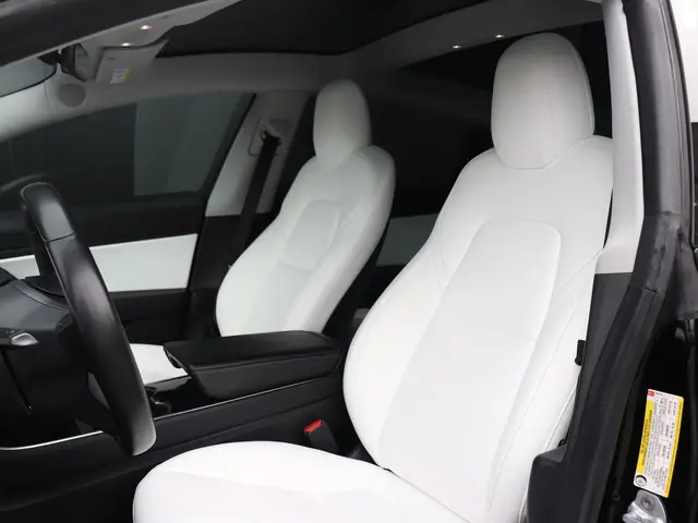 Tesla Model 3 Performance AWD 75 kWh 2019 Elektrisch 17