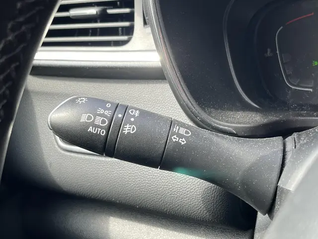 Renault Kadjar 1.3 TCe Intens 2020 Benzine 20