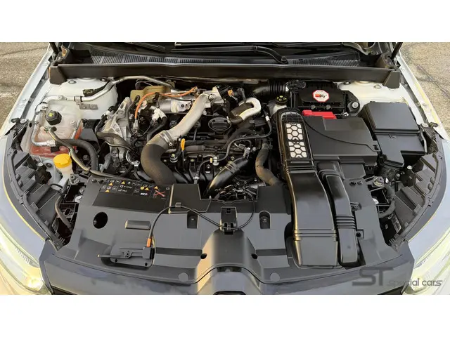 Renault Mégane Estate 1.6 TCe GT 2018 Benzine 31