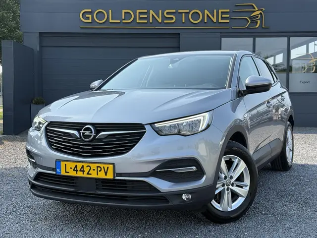 Opel Grandland X 1.2 Turbo 120 Jaar Edition 2019 Benzine