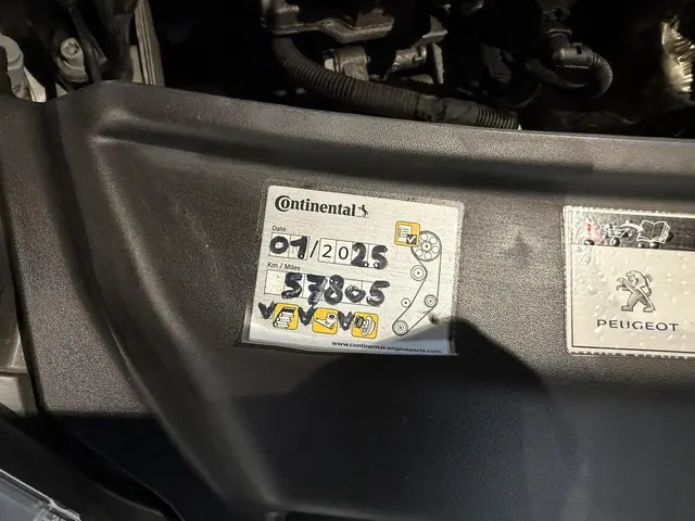 Peugeot 208 1.2 PureTech Blue Lion 2018 Benzine 18