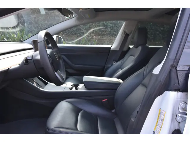 Tesla Model 3 Standard RWD Plus 60 kWh 2020 Elektrisch 7