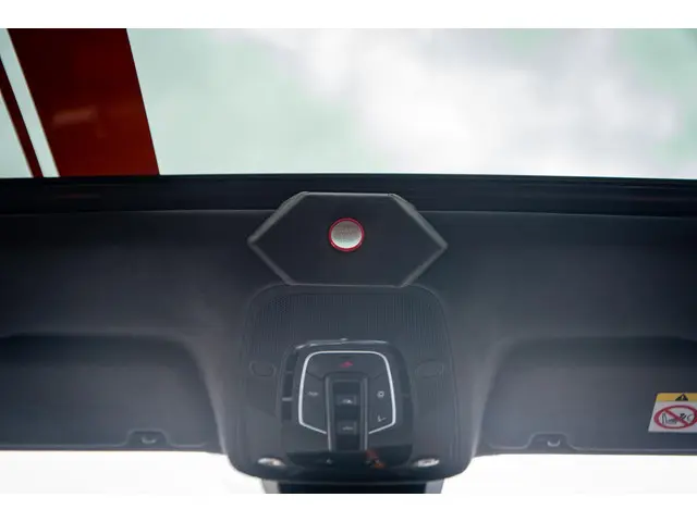 Audi RS6 RS 6 TFSI quattro 2019 Benzine 49