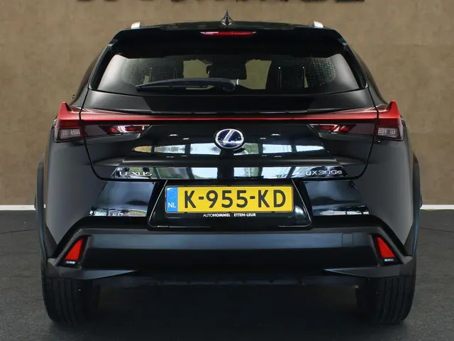 Lexus UX 300e Business 54 kWh 2020 Elektrisch 10